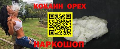 гидра Гатчина