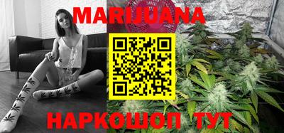 гидра Гатчина