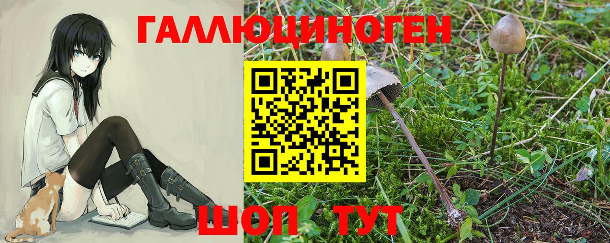 Галлюциногенные грибы Magic Shrooms Новокубанск