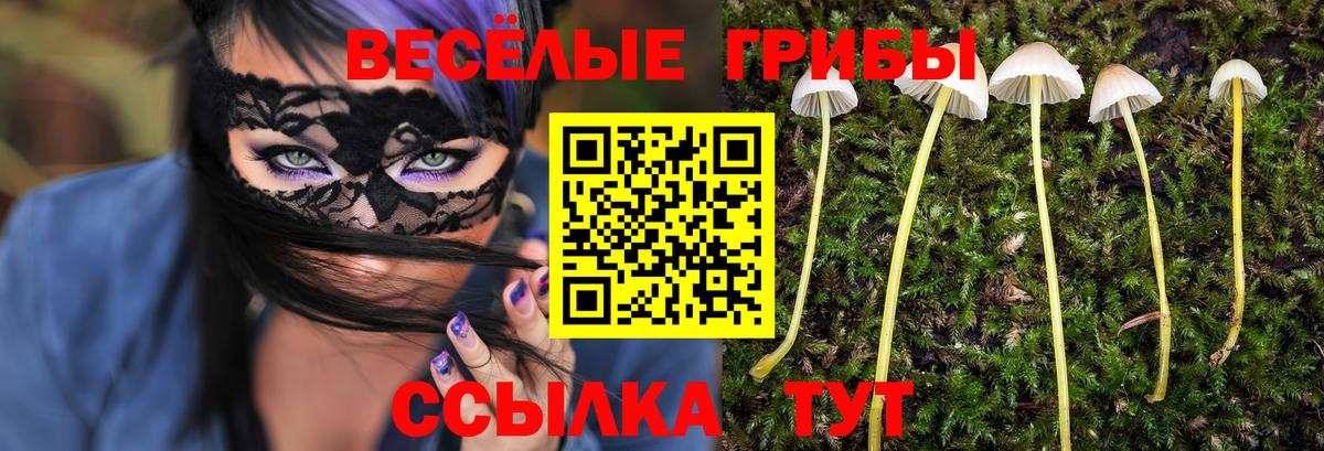 Новокубанск  Псилоцибиновые грибы ЛСД  Псилоцибиновые грибы мухоморы  Вход с VPN 